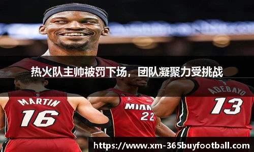 热火队主帅被罚下场，团队凝聚力受挑战