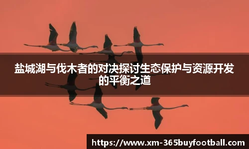 365买球平台